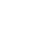 icons8-car-insurance-100 (1)