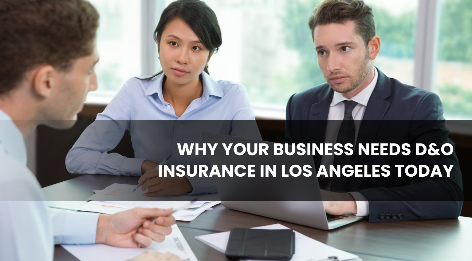 D&O Insurance