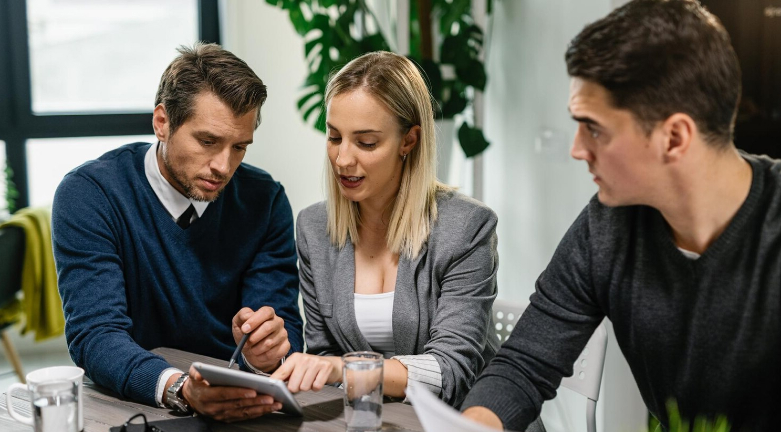 best tree trimming insurance