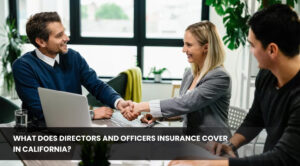 Directors and Officers Insurance
